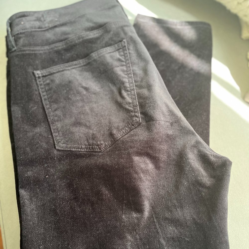 ANN TAYLOR Velvet Jeans